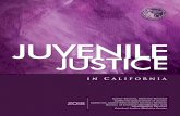 data-openjustice.doj.ca.gov...i Juvenile Justice in California 2018 provides insight into the juvenile justice process by reporting the number of arrests, referrals to probation departments,