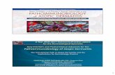 Pathoimmunobiology of Atopic Dermatitisclinicalwebcasts.com/.../ISDS_Atopic_Dermatitis... · Pathoimmunobiology of Atopic Dermatitis The Translational Path in Atopic Dermatitis and