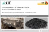 Screw Pyrolysis of Sewage Sludge 1 Session1.1/1...1 16.11.2016 Marco Tomasi Morgano Screw Pyrolysis of Sewage Sludge: A Techno-economic Analysis KIT –The Research University in the