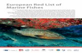 European Red List of Marine FishesIUCN Global Species Programme IUCN European Regional Office European Red List of Marine Fishes Ana Nieto, Gina M. Ralph, Mia T. Comeros-Raynal, James