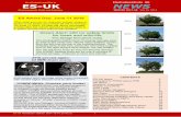 For all people sensitive to ElectroSensitivity UK ES-UK NEWS Newsletter-Winter... · PHE/ICNIRP/WHO Minority Clique 26 ES Stories 29 For all people sensitive to ElectroSensitivity