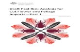 Draft Pest Risk Analysis for Cut Flower and Foliage … · Web viewThe department initiated this Pest Risk Analysis (PRA) of the biosecurity risk associated with fresh cut flower