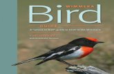 Bird WIMMERA GUIDE...5 EAST OF HORSHAM The Murtoa Golf Course, Marma Lake and the Brynterion State Forest are all east of Horsham. A full day would be needed to see and observe fully