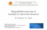 Regularitati ascunse si corelatii in nano-bio-structuri M.pdf · Regularitati ascunse si corelatii in nano-bio-structuri M. Popescu, A. Velea NATIONAL INSTITUTE OF MATERIALS PHYSICS