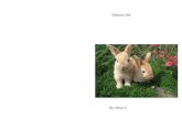 A new bookChapter2 Rabbits eat carrots and celery they also eat lettuce and grass and ﬂowers and fruit also they like leaves . Chapter3 Rabbits have diﬀerent kind of fur like black