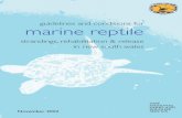 Guidelines for Marine Reptile Strandings, Rehabilitation ...Guidelines for Marine Reptile Strandings, Rehabilitation and Release NSW National Parks and Wildlife Service 1 1. Introduction