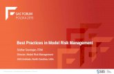 Best Practices in Model Risk Management - SAS · Best Practices in Model Risk Management. MEETING REGULATORY GUIDELINES GLOBALLY AND LOCALLY ... Bank Risk Conference presentation
