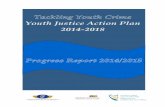 Youth Justice Action Plan 2014-2018...Tackling Youth Crime – Youth Justice Action Plan 2014-2018: Progress Report 2014/2015 4 Introduction This Report outlines the progress made