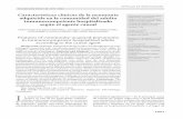 Características clínicas de la neumoníaCaracterísticas clínicas de la neumonía adquirida en la comunidad del adulto inmunocompetente hospitalizado según el agente causal ...