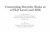 Countering Security Risks at ccTLD Level and SSR · 2017-02-06 · Countering Security Risks at ccTLD Level and SSR Jay Rajasekera International University of Japan Minamiuonuma City,