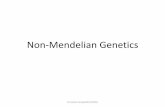 Non-Mendelian Genetics · Non-Mendelian Genetics Dr.Suheir Ereqat2017/2018. The Molecular Basis of Dominance • The terms dominant and recessive have a ... Mendel either some white