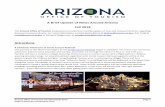 A Brief Update of News Around Arizona Fall 2018 Attractions 2018 Monthly brief Final.pdfآ  Southwestern
