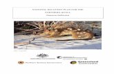National recovery plan for the Northern Quoll …environment.gov.au/system/files/resources/8744fe3f-3a94...The northern quoll Dasyurus hallucatus is a marsupial and a member of the
