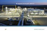 Raport Anual 2017 - Bucharest Stock Exchange...Padina Nord – Conceptul geologic al OMV Petrom implementat cu succes în cadrul asocierii în participațiune cu Hunt Oil 6 Călătoria