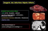 Imagerie des infections hépato-biliaireonclepaul.fr/wp-content/uploads/2011/07/infections... · 2015-05-02 · Imagerie des infections hépato-biliaire principales formes anatomo-cliniques