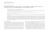 Animal Model of Acid-Reflux Esophagitis: Pathogenic Roles ... · 2 BioMedResearchInternational Reflux of gastric contents Ligation of the pylorus Stomach Esophagus Ligation of the