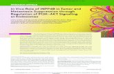 In Vivo Role of INPP4B in Tumor and Metastasis …...OF1 | CANCER DISCOVERY July 2015 In Vivo Role of INPP4B in Tumor and Metastasis Suppression through Regulation of PI3K–AKT Signaling