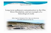 Long term sediment contamination in the Elbe floodplain ......Methods Sampling‐sediment cores divided into sections = separate analyses subaquatic sediments ‐oxbow lakes‐maximum