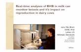 Real-time analyses of BHB in milk can monitor ketosis and ...old.eaap.org/Previous_Annual_Meetings/2014... · Real-time analyses of BHB in milk can monitor ketosis and it’s impact