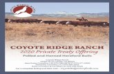 Welcome [orsd-web.s3.amazonaws.com] · 2020-02-28 · 2020 Private Treaty OfferingCOYOTERIDGE ˜NCHCoyoteRidgeHerefords.com 1 Welcome to the 2020 Coyote Ridge Ranch Private Treaty