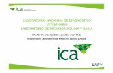 LABORATORIO NACIONAL DE DIAGNÓSTICO · MISIÓN Del Instituto Colombiano Agropecuario ICA, trabajar por la sanidad agropecuaria y la inocuidad en la producción primaria para proyectar