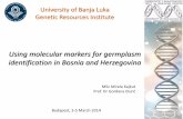 University of Banja Luka Genetic Resources Institute · 2016-04-21 · University of Banja Luka Genetic Resources Institute Using molecular markers for germplasm identification in