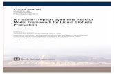 A Fischer-Tropsch Synthesis Reactor Model Framework for ... · A Fischer-Tropsch Synthesis Reactor Model Framework for Liquid Biofuels Production Joseph W. Pratt ... This report has