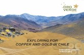 EXPLORING FOR COPPER AND GOLD IN CHILE · EXPLORING FOR COPPER AND GOLD IN CHILE . ... • Vega - located in famous El Indio Gold Belt - high grade gold exploration play with “bonanza”