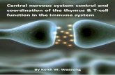 Central nervous system control and coordination of the ...cdn2.perfectpatients.com/childsites/uploads/1819/files/Central-Nervous-System.pdfThe nervous system affects the immune system