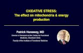 OXIDATIVE STRESS: The Effect on Mitochondria & Energy … · 2018-09-20 · ROS/RNS Adaptation Responses e.g. Neurotrophic factors, Neurogenesis, DNA repair etc Oxidation of proteins,