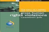 rights violations - ICJ · Pr a c t i t i o n e r s ’ g u di e series nº2 gross human rights violations a practitioners’ guide nº 2 All victims of human rights violations have