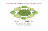 Plant Guilds eBooklet - Midwest Permaculture Guilds... · 2015-06-13 · MidwestPermaculture.com Midwest Permaculture Presents: Plant Guilds By Bryce Ruddock Illustrated by Jesse