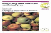 Report of a Working Group on Malus/Pyrus...2 WORKING GROUP ON Malus/Pyrus: FIRST MEETINGprogrammes approved by this Committee. One of the projects, the Lamb-Clarke Historical Apple