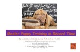 Master Puppy Training in Record Time - Salida & …salidadogs.com/EndUserFiles/52041.pdfMaster Puppy Training in Record Time By: • Certified Professional Dog Trainer, Certified Canine