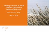 Finding sources of fecal coliform bacteria in stormwater ... webinar presenter...Finding sources of fecal coliform bacteria in stormwater runoff David Tomasko, Ph.D. May 12, 2016 .