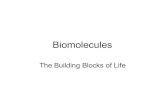 Biomolecules - PC\|MACimages.pcmac.org/SiSFiles/Schools/TN/HamiltonCounty/EastHamiltonMiddleHigh/Uploads/...BiomoleculesareOrganicMolecules 1. MoleculescontainingCarbon,Hydrogen, Nitrogen,andOxygen.