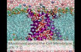 Movement across the Cell Membrane (Ch. 7.3) · 2018-09-04 · Movement across the Cell Membrane (Ch. 7.3) Diffusion •2nd Law of Thermodynamics governs biological systems ... Getting