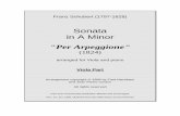 Sonata in A Minor Per Arpeggione - free-scores.com · viola the higher ranges are difficult, and the lower registers (below open C) are of course impossible. Nonetheless, the piece