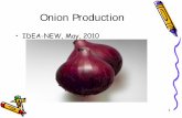 Onion Production - University of California, Davis · 2019-10-24 · 4 Soils •Onion can be cultivated in wide range of soils – Sandy - loam or a silt-loam is the best. • The