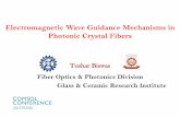 Electromagnetic Wave Guidance Mechanisms in …...Electromagnetic Wave Guidance Mechanisms in Photonic Crystal Fibers Tushar Biswas Fiber Optics & Photonics Division CSIR-Central Glass