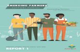 EMERGING FARMERS - AgriSA...Emerging Farmers Support Portal EFSP Brief eport Disclaimer: We cannot take responsibility of accuracy of participants submissions Agri SA 2019 3 BACKGROUND