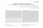 New Adhesive System and Resin Cementweb1.dent.cmu.ac.th/cmdj/fulltext/fulltext_2558_36_2_385.pdf · ส่วนของเรซินเมทริกซ์ประกอบด้วยไดอะไครเลตมอนอเมอร์