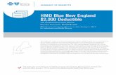 HMO Blue New England $2,000 Deductible...navigation to download a printable network hospital list or to access the provider search page. HMO Blue New England $2,000 Deductible with