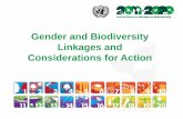 Gender and Biodiversity Linkages and Considerations for Action · taking into account the needs of women, indigenous and local communities, and the poor and vulnerable Issues •