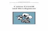 Cotton Growth and Development - spar.msstate.edu · cotton to control weeds and insects, but cotton is unique in that crop growth must also be regulated and eventu-ally terminated