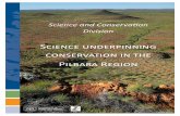 Science underpinning conservation in the Pilbara Region · 2016-06-27 · Science underpinning conservation in the Pilbara Region Adrienne Markey. 2 FOREWORD Effective communication