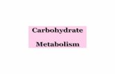 Lecture #25S-Carbohydrate metabolism-39 copyprofkatz.com/courses/wp-content/uploads/2016/07/CH2210... · 2016-07-03 · Dietary carbohydrates (starch, glycogen, sucrose, lactose Oligosaccharides