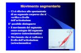 Tipi di movimentoh [modalità compatibilità]fisiokinesiterapia-news.it/download/movsegme.pdf · 2017-09-15 · Movimento segmentario Ci si riferisce allo spostamento di un segmento
