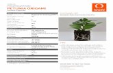 ANNUAL PROPAGATION PETUNIA ORIGAMIOrigami.pdf · petunia origami we’re here to help you grow. key information description consumer appeal garden attributes nativity annual features