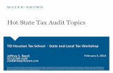 Hot State Tax Audit Topics - Mayer Brown · 2014-02-07 · Hot State Tax Audit Topics Mayer Brown is a global legal services provider comprising legal practices that are separate